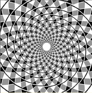 Ilusion espiral de Fraser